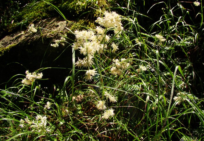 DSC09697