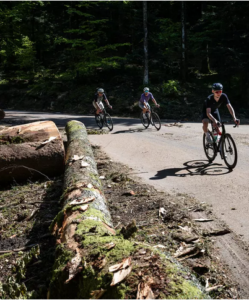Mai 2026 900 arbres abattus pour le Tour de France