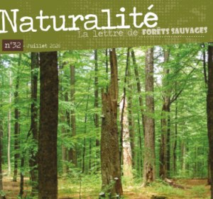 Juillet 2026 Forêts sauvages, lettre Naturalité no 32