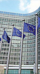 Août 2026 Commission Européenne : bois mort et incendies