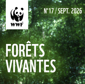 Septembre 2026 Lettre Forêts vivantes No 17