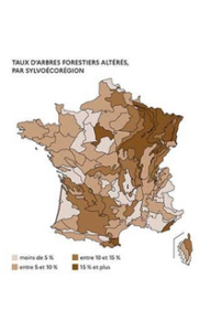 Octobre 2026 Résultats 2026 de l’IFN